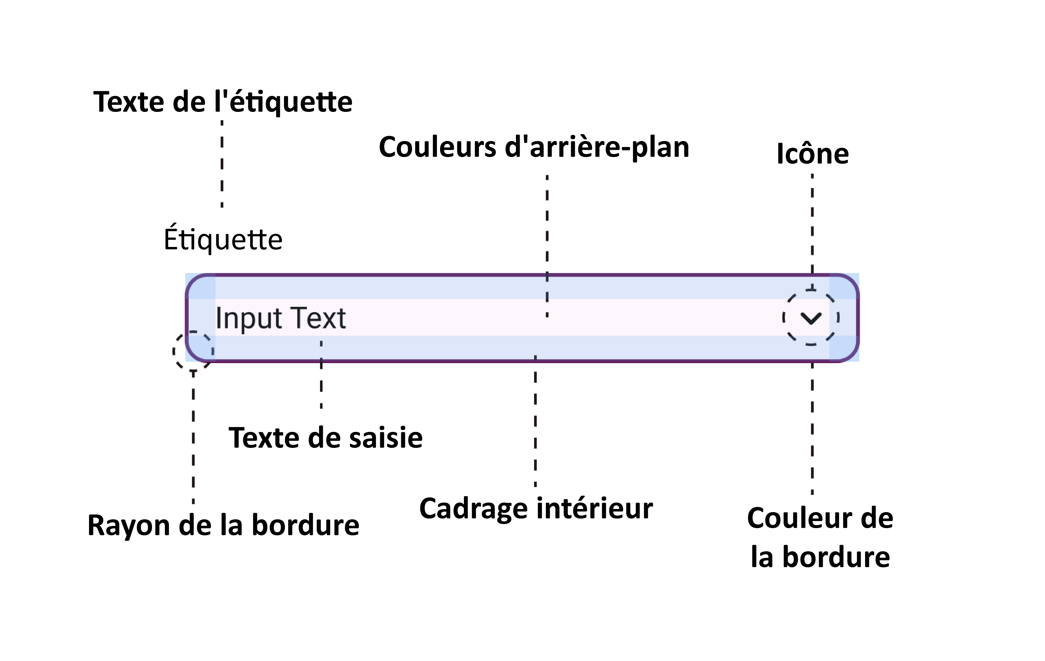Image analysant un champ de saisie personnalisé